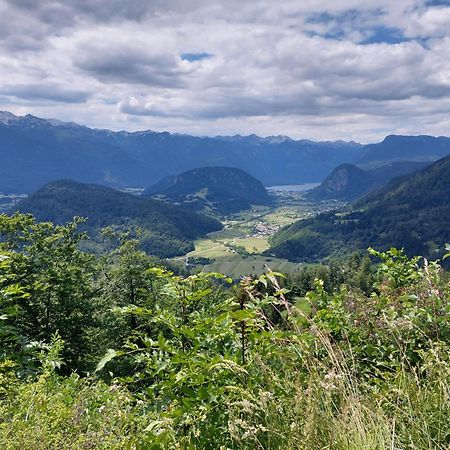 Apartmaji Vesna Bohinj Exteriér fotografie