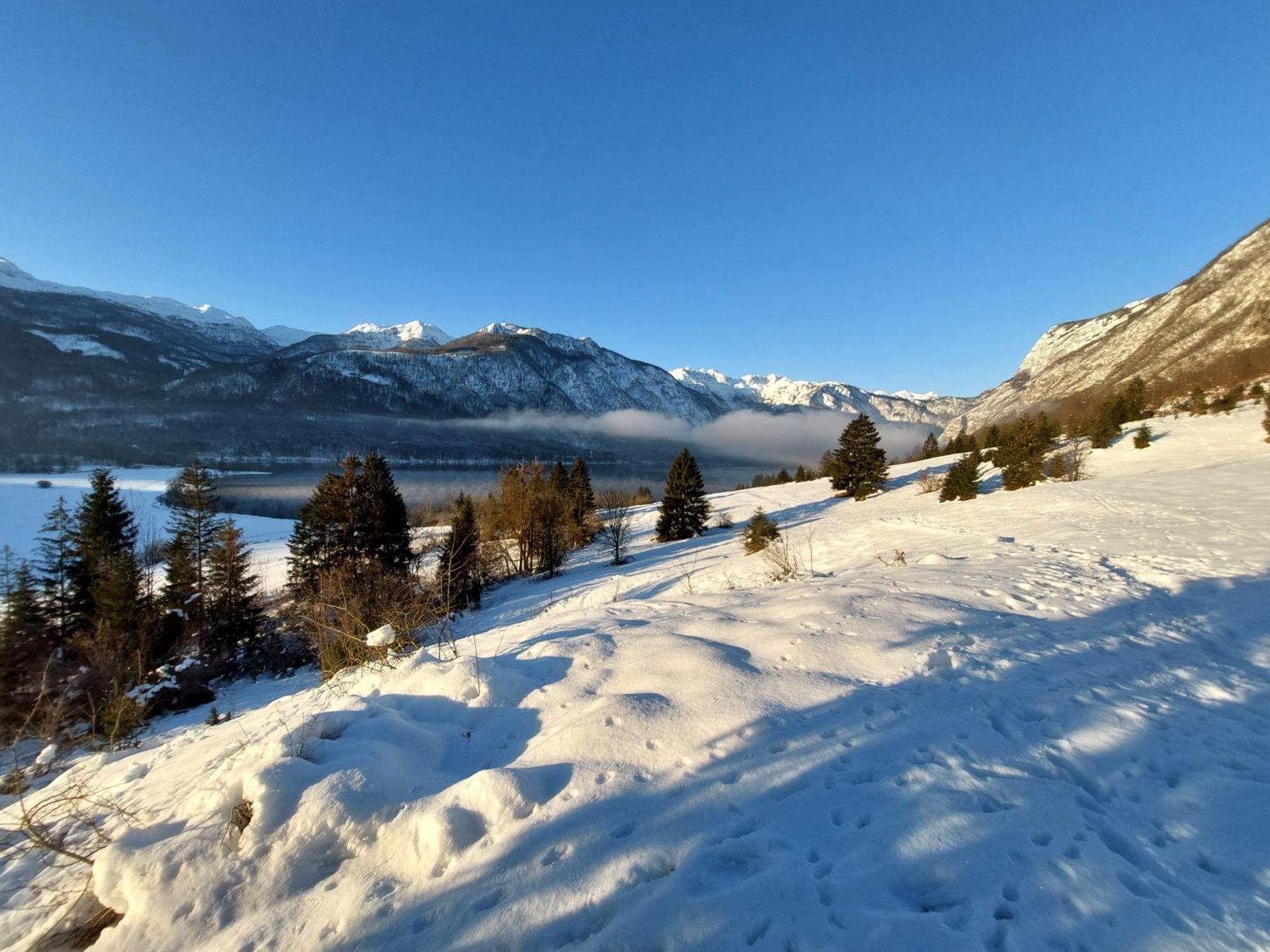 Apartmaji Vesna Bohinj Exteriér fotografie
