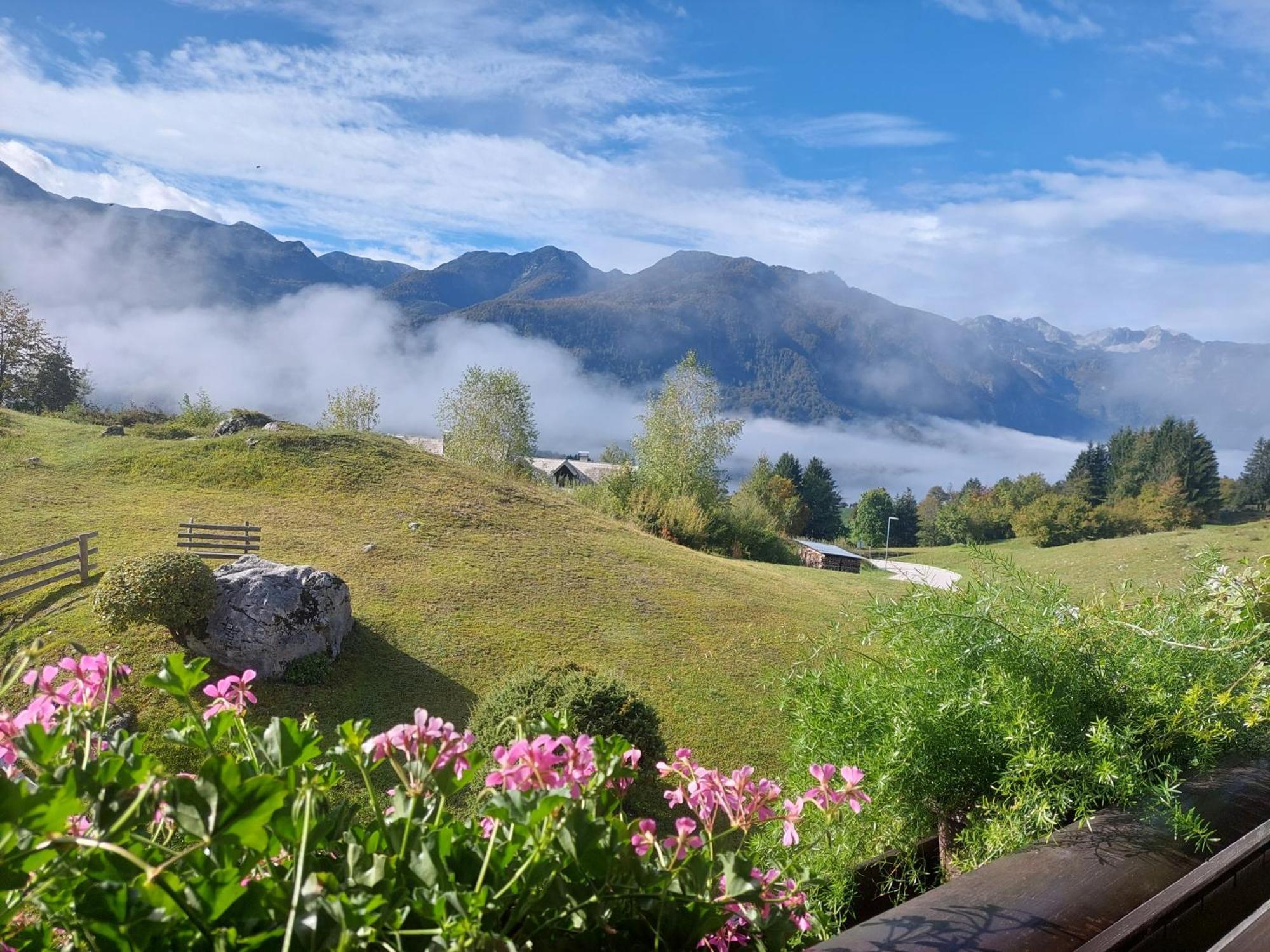 Apartmaji Vesna Bohinj Exteriér fotografie