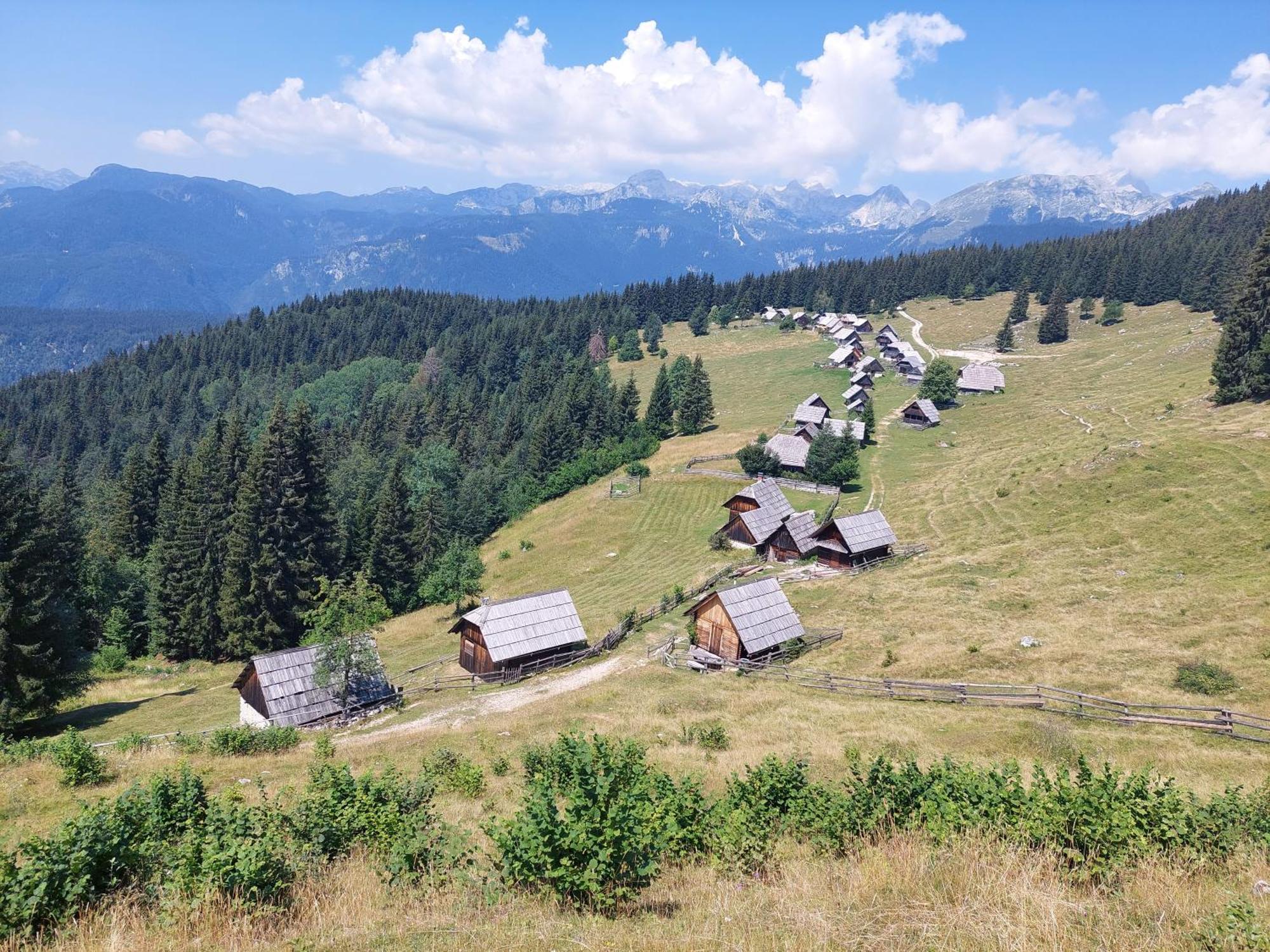 Apartmaji Vesna Bohinj Exteriér fotografie